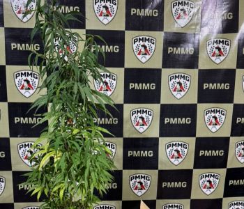 POLÍCIA MILITAR APREENDE COCAÍNA, MACONHA E DINHEIRO EM ARCOS