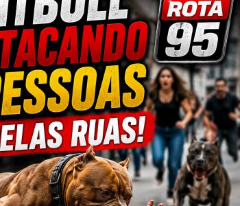 CÃES DA RAÇA PITIBULL AMEAÇAM FREQUENTADORES DA TREZENA E HOMEM É PRESO POR OMISSÃO DE CAUTELA NO BAIRRO SANTA CRUZ EM ARCOS