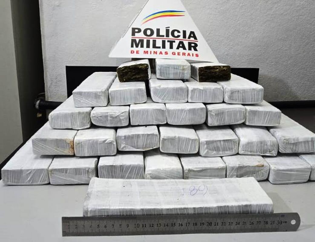 PM APREENDE QUASE 30 BARRAS DE MACONHA NAS MARGENS DA BR-354 EM ARCOS