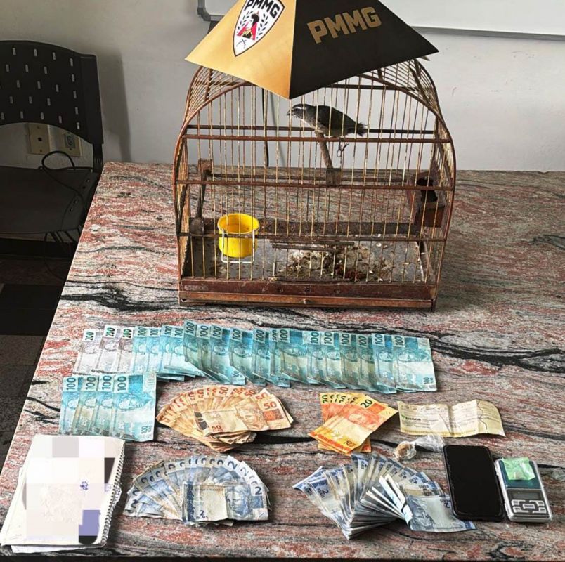 HOMEM É PRESO POR TRÁFICO DE DROGAS E CRIMES AMBIENTAIS EM ITAPECERICA