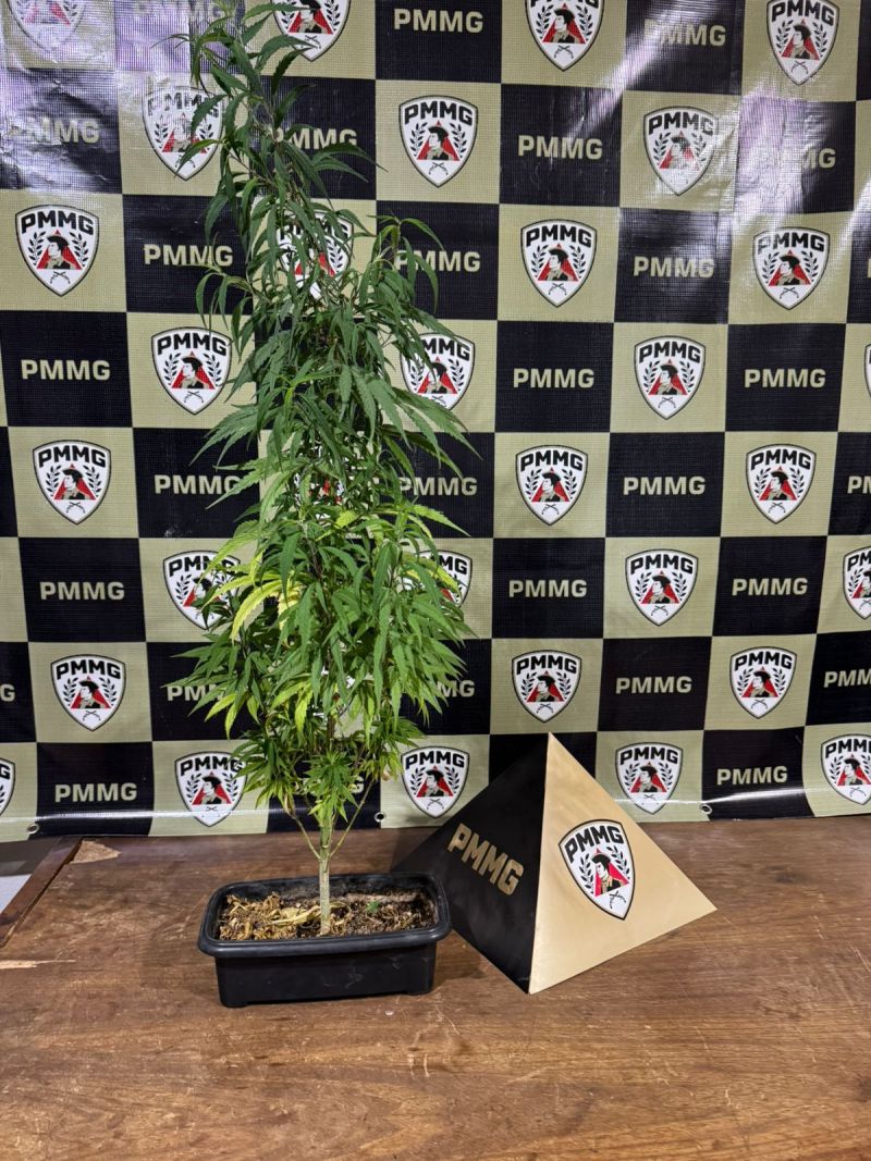 POLÍCIA MILITAR APREENDE COCAÍNA, MACONHA E DINHEIRO EM ARCOS