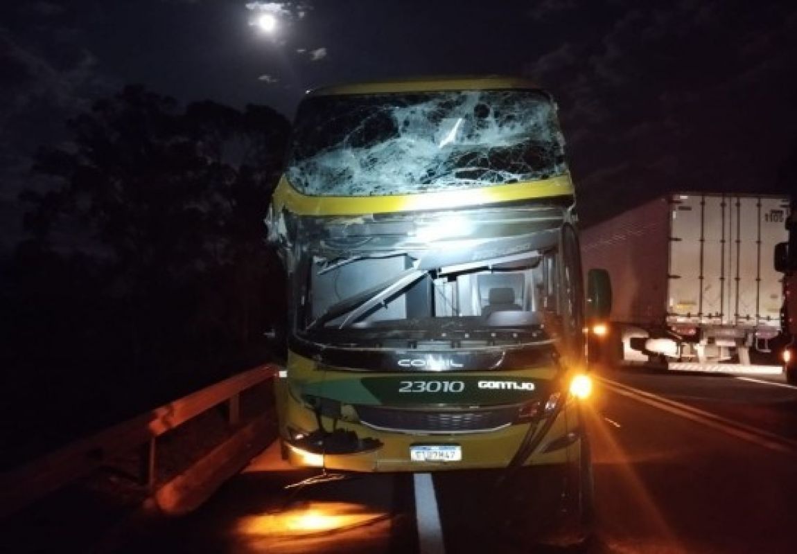 ÁRVORE CAI SOBRE ÔNIBUS COM 27 PASSAGEIROS NA BR-262