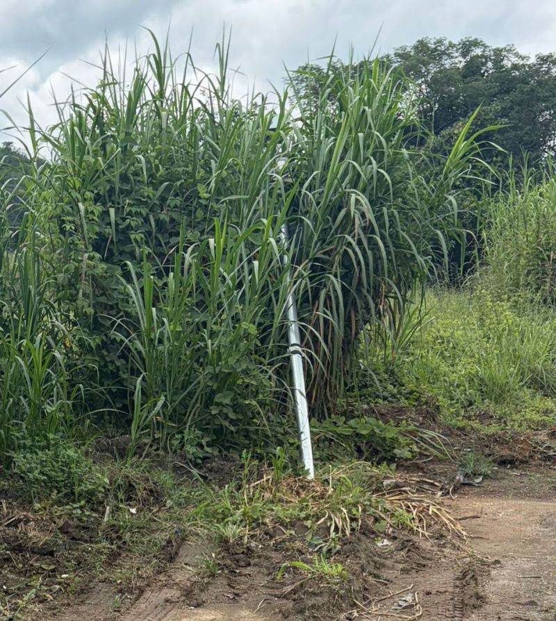 RADAR DA BR-354 É DESTRUÍDO NOVAMENTE POR MOTORISTA DE CAMINHÃO DESCONHECIDO